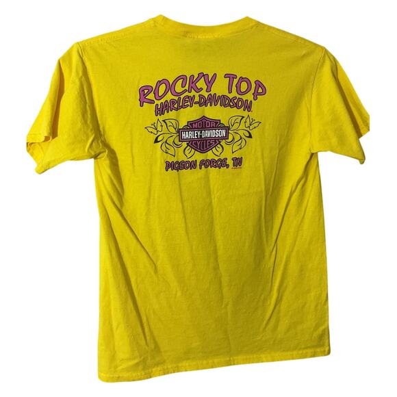 Harley-Davidson Large Youth 14/16 Rocky Top TN. Tee Beagle - Picture 8 of 8